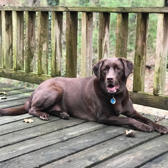 Meet your Posher, Nathan - Picture 1 of 1